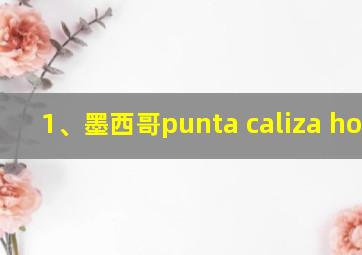 1、墨西哥punta caliza hotel